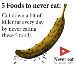 Fat Loss Factor